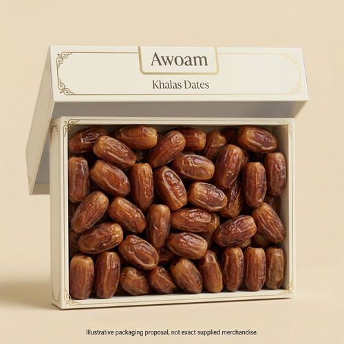 Awoam Khalas dates packaging concept, angled box and detached tilted lid
